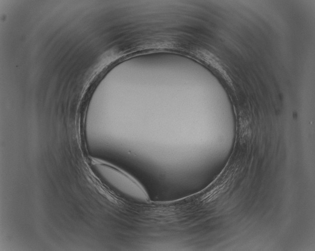 X0000077341035200611031750