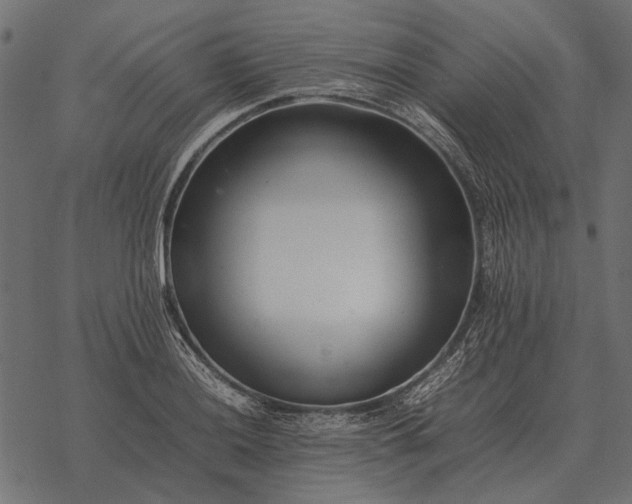 X0000077341036200611031750
