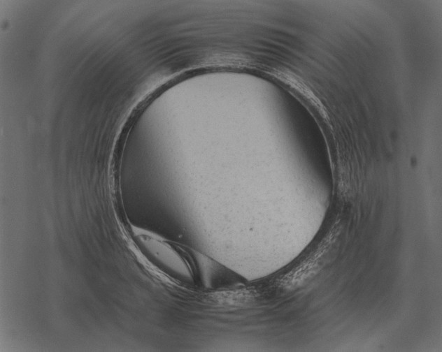 X0000077341037200611031750