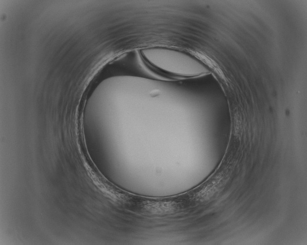 X0000077341039200611031750