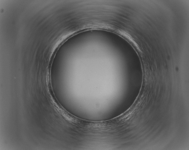 X0000077341040200611031750