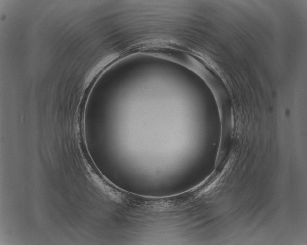 X0000077341042200611031750
