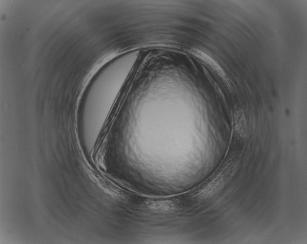 X0000077341043200611031750