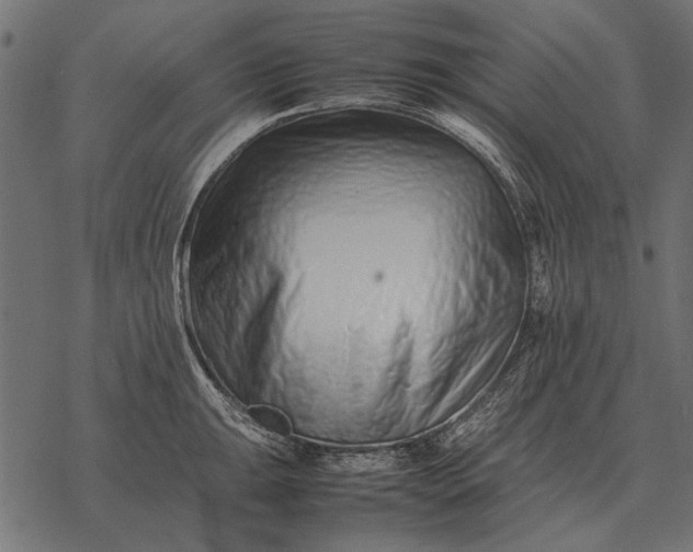 X0000077341047200611031750