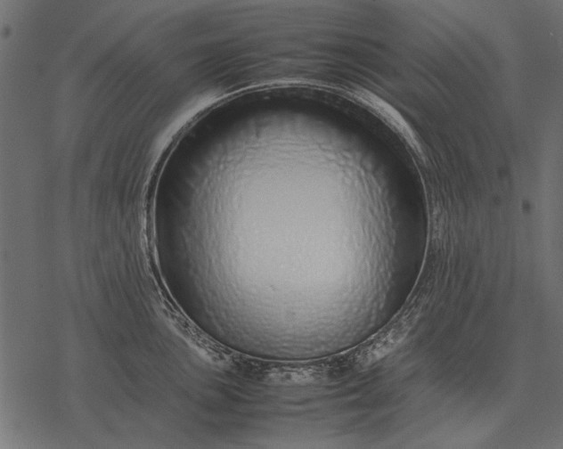 X0000077341051200611031751
