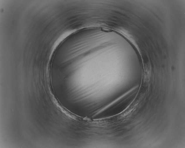X0000077341053200611031751