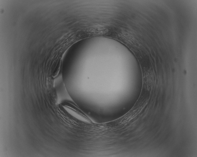 X0000077341058200611031750