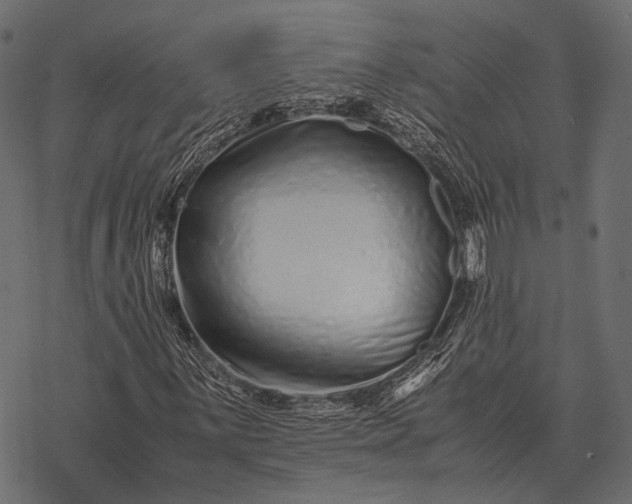X0000077341059200611031750