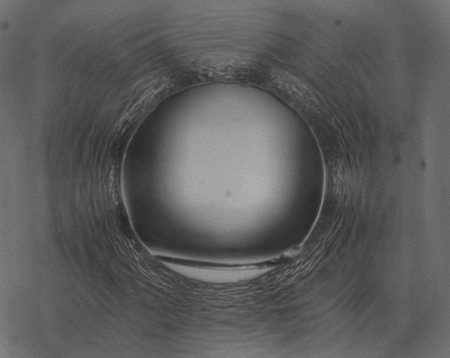 X0000077341060200611031750