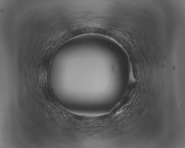 X0000077341061200611031750