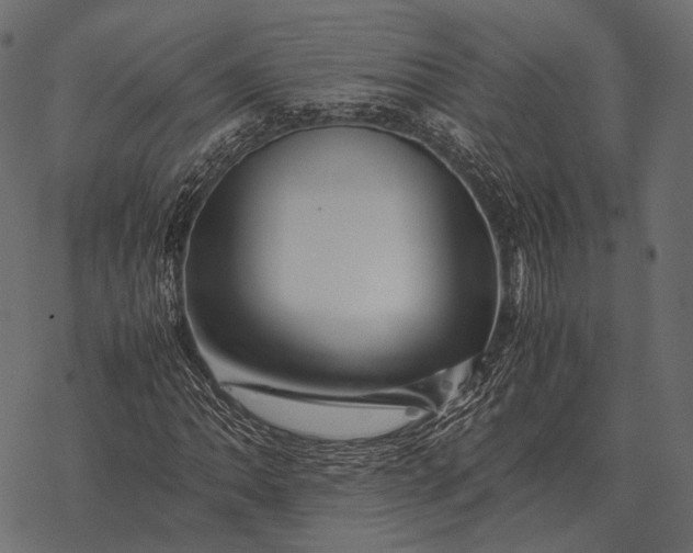 X0000077341062200611031750