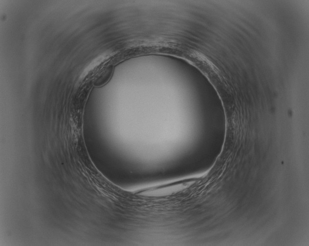 X0000077341064200611031750