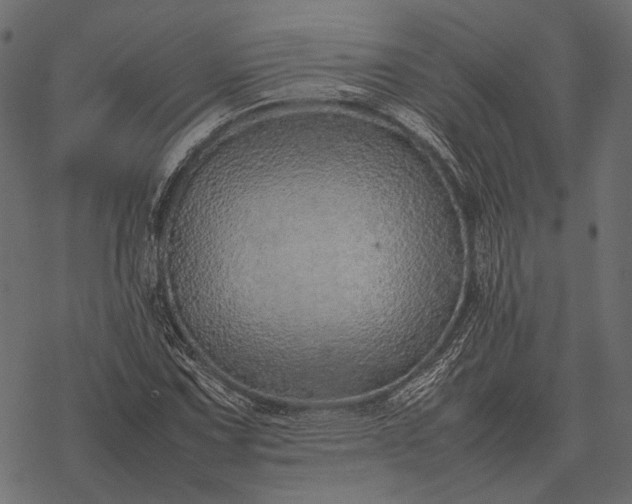 X0000077341067200611031750