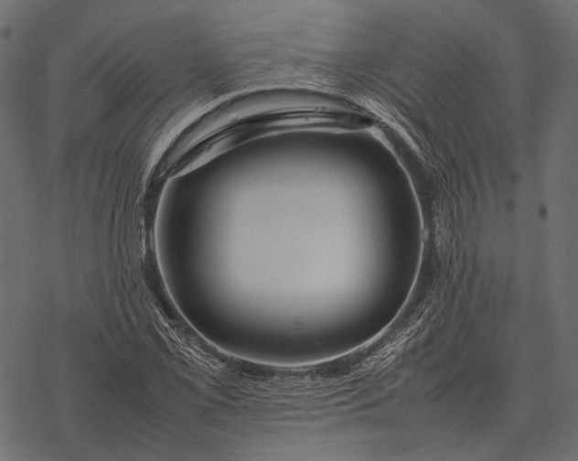 X0000077341069200611031750