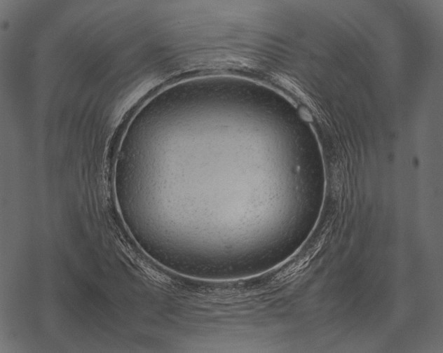 X0000077341071200611031750