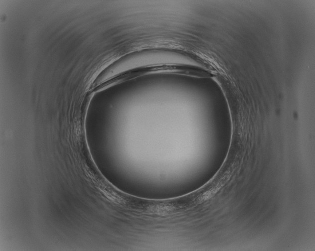 X0000077341073200611031750
