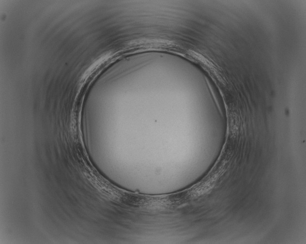 X0000077341074200611031750