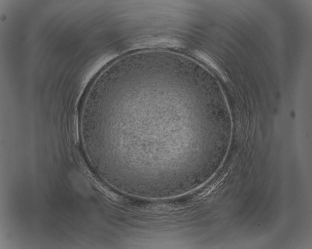 X0000077341079200611031749