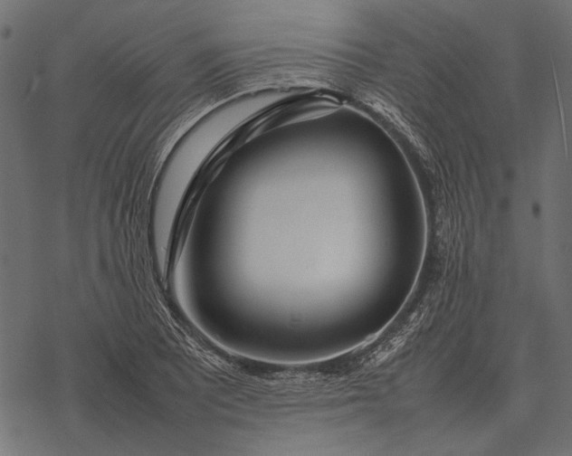 X0000077341081200611031749