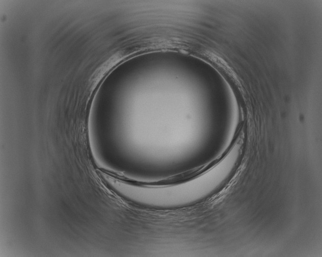 X0000077341089200611031749