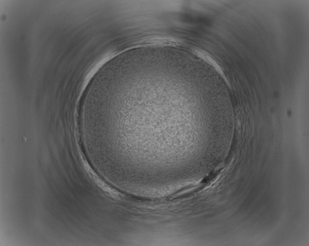 X0000077341091200611031749