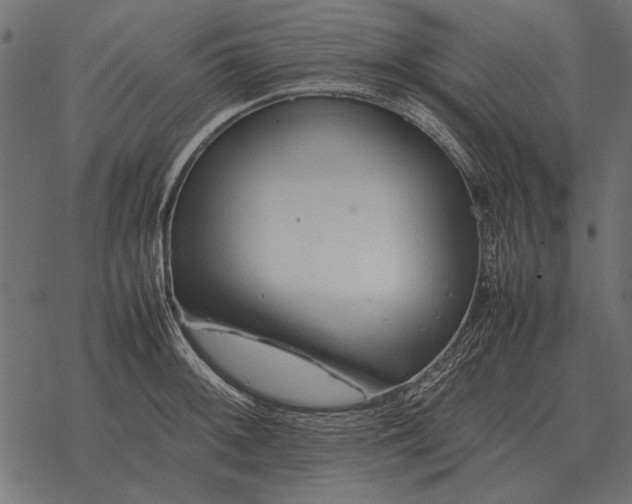 X0000077341092200611031749
