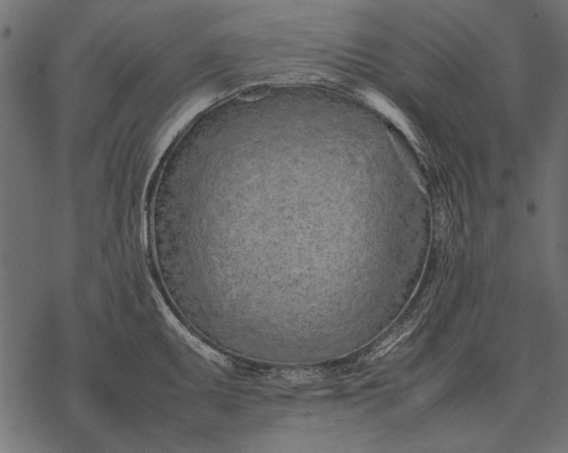 X0000077341095200611031749