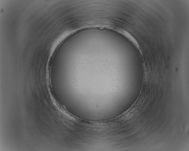 X0000077341096200611031749