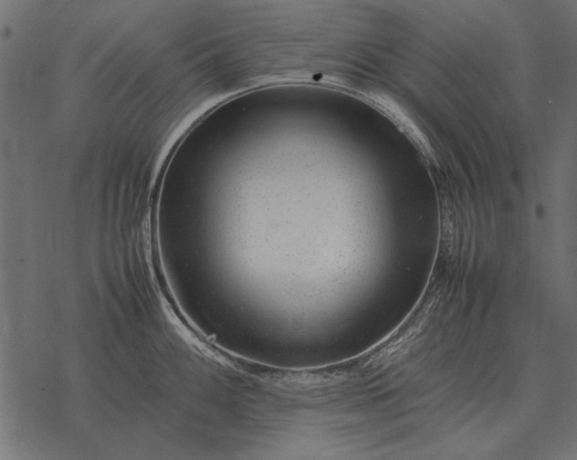 X0000077341100200611031749
