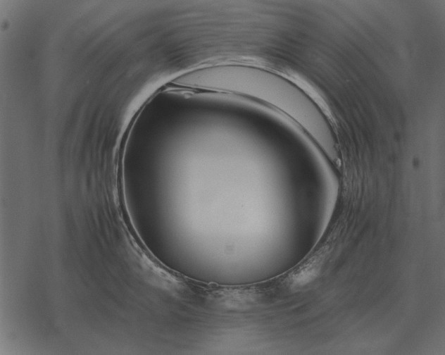 X0000077341102200611031749