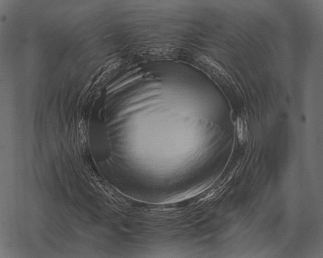 X0000077341107200611031748