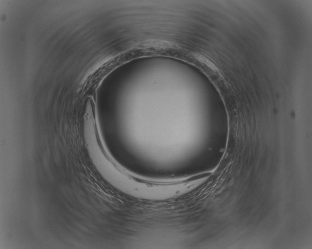 X0000077341112200611031748