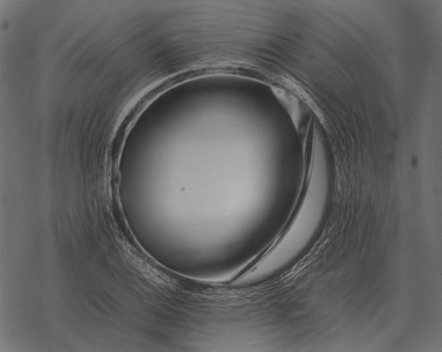 X0000077341124200611031749