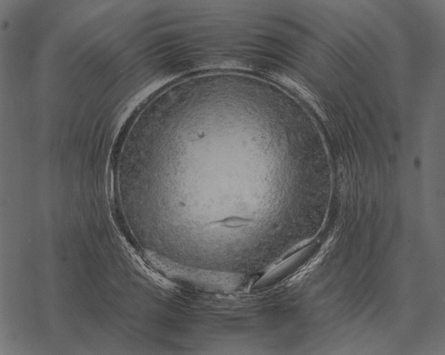 X0000077341125200611031749