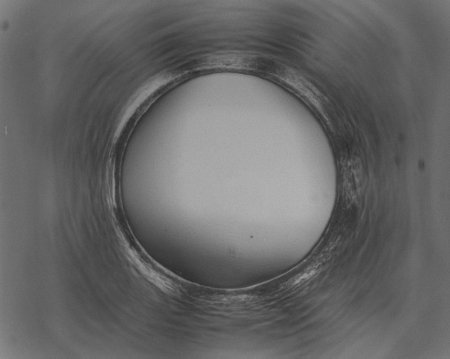 X0000077341131200611031749
