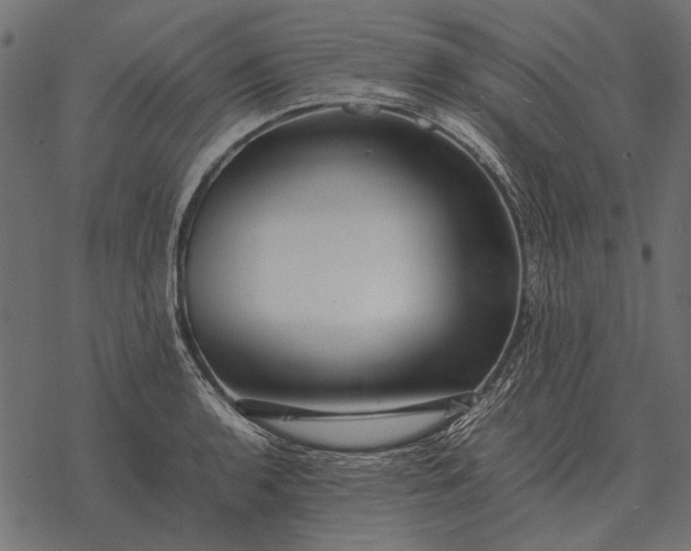X0000077341136200611031749