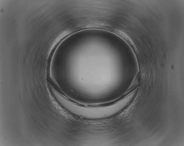 X0000077341138200611031749