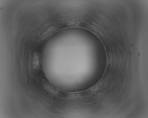 X0000077341154200611031748