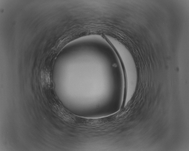 X0000077341155200611031748