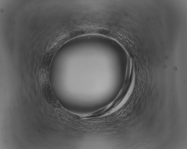 X0000077341157200611031748