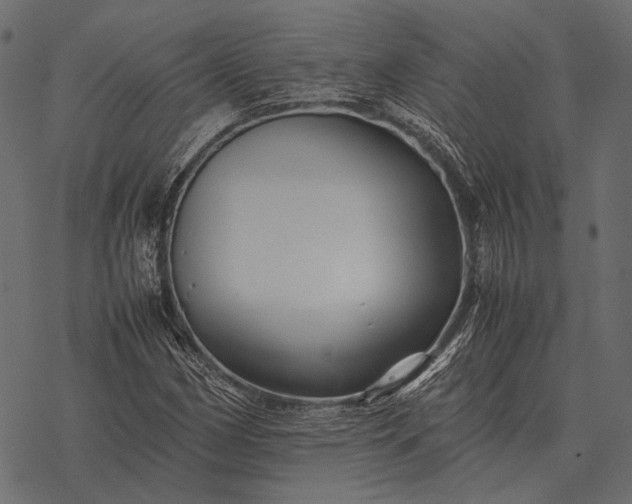 X0000077341162200611031748