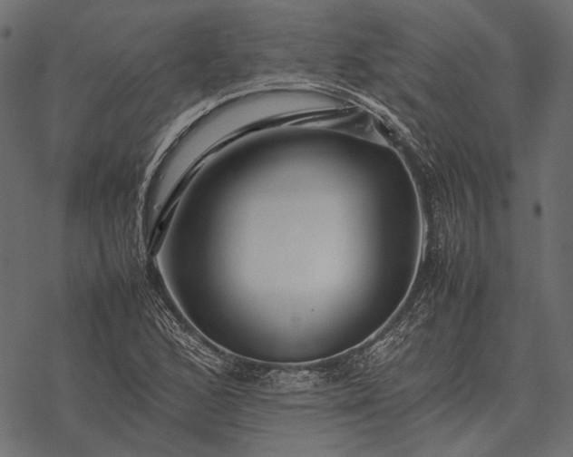 X0000077341168200611031748