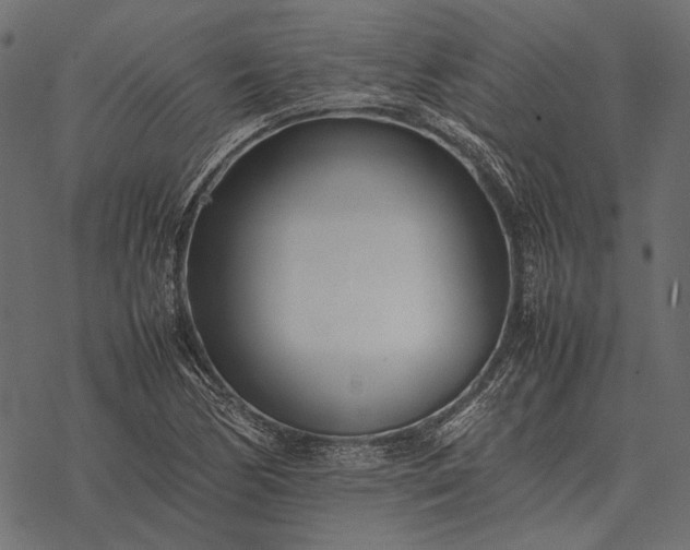 X0000077341170200611031748