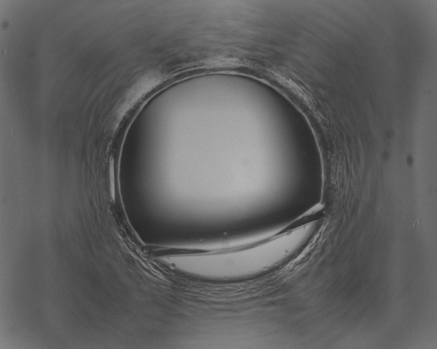 X0000077341171200611031748
