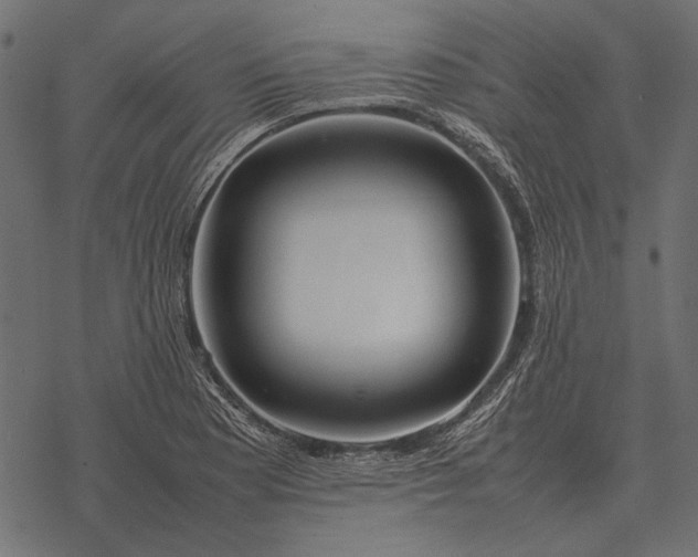 X0000077341177200611031748
