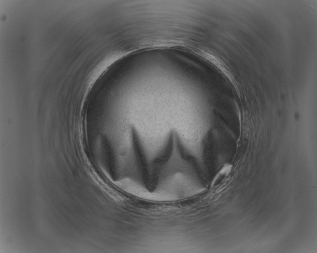 X0000077341187200611031748