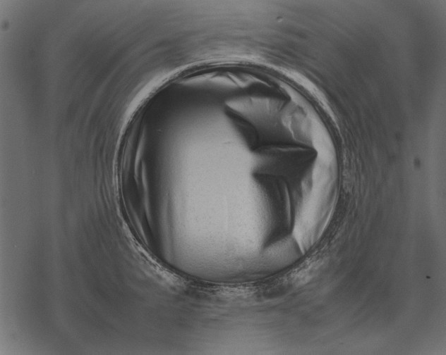 X0000077341191200611031748