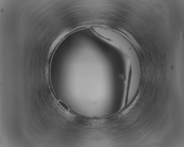 X0000077341196200611031748
