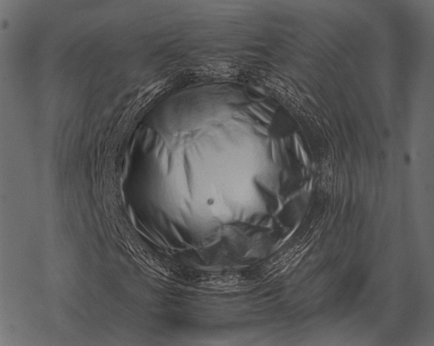X0000077341201200611031747
