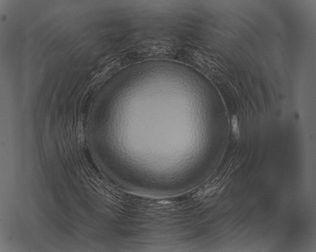 X0000077341203200611031747